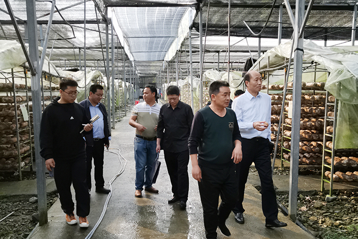 黔南2019年经济总量_黔南民族师范学院(3)